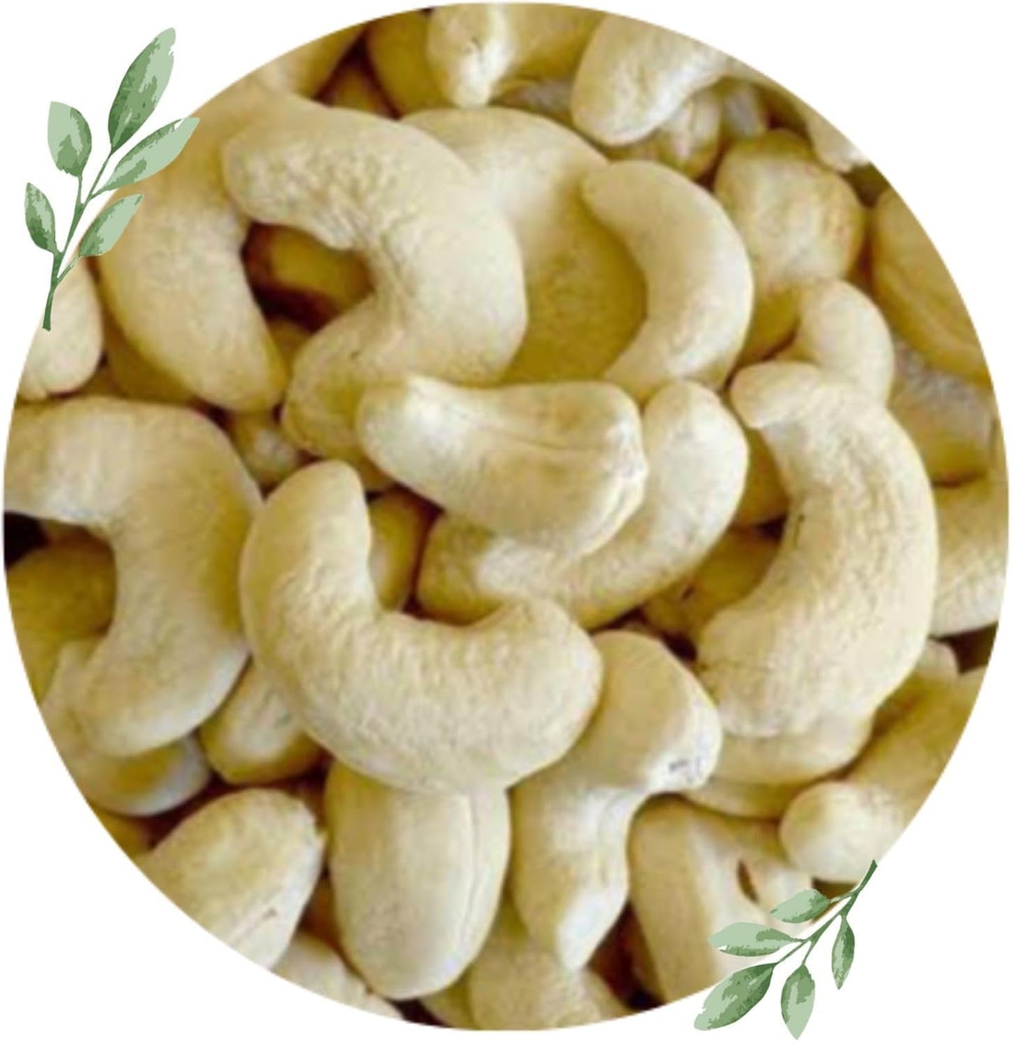 kitchen Jungle Whole Cashew Nuts Crunchy & Soft Kaju dry fruit grade w320 (1kg jar pack)