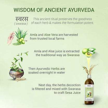 SESA Ayurvedic Hair Care Juice (2L) | Controls Hair Fall | Boosts Hair Growth | 100% Ayurvedic Hair Care Juice made with Amla, Aloe Vera, Bhringraj and Daru Haridra (Pack of 2)