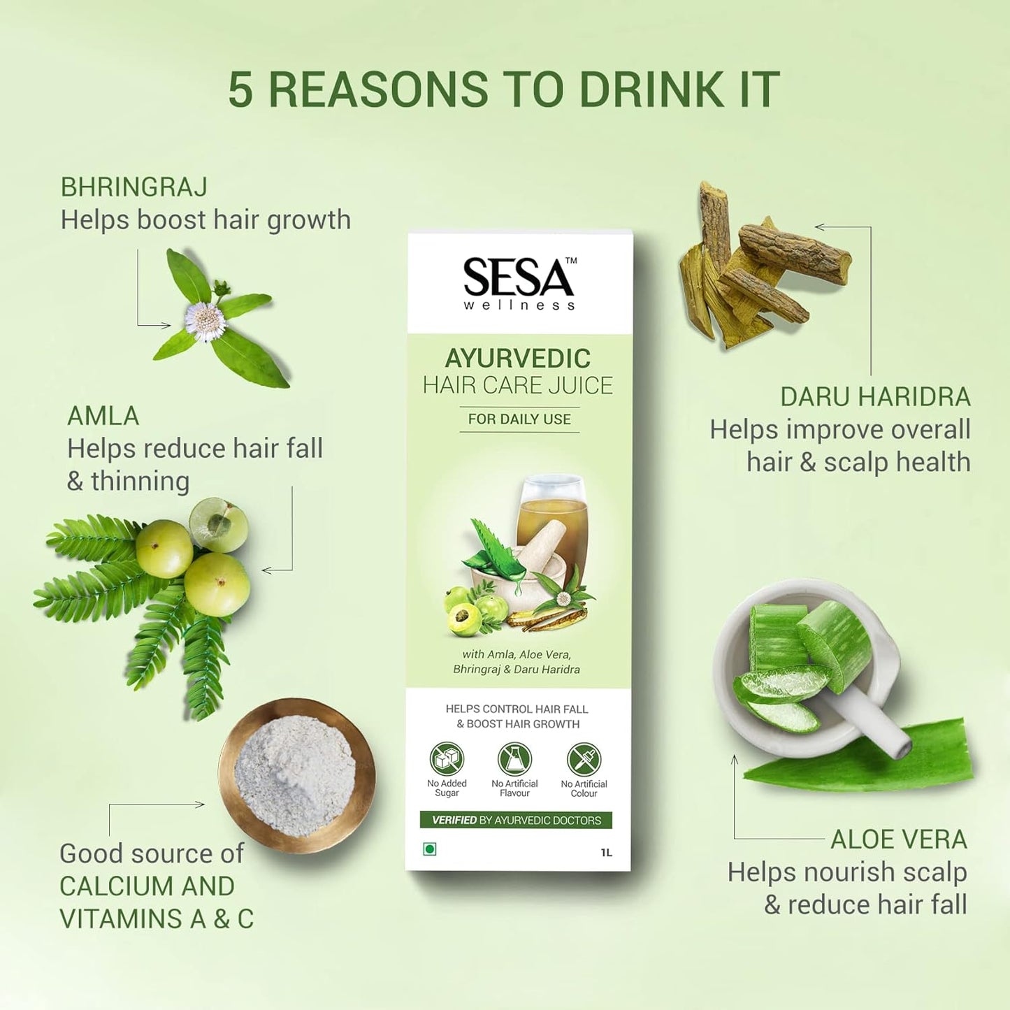 SESA Ayurvedic Hair Care Juice (2L) | Controls Hair Fall | Boosts Hair Growth | 100% Ayurvedic Hair Care Juice made with Amla, Aloe Vera, Bhringraj and Daru Haridra (Pack of 2)